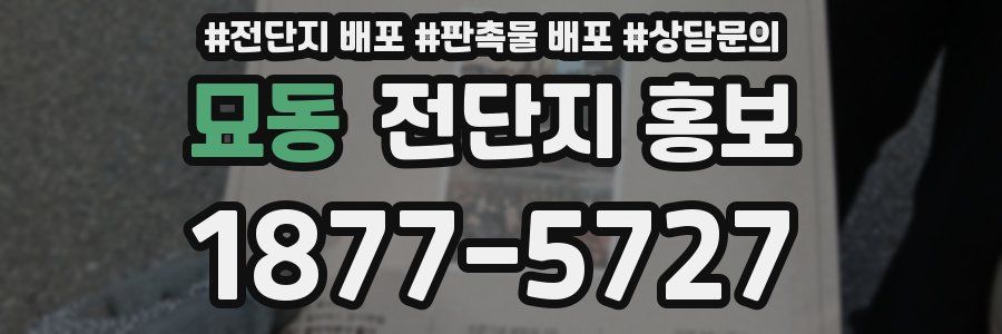 묘동 전단지 홍보