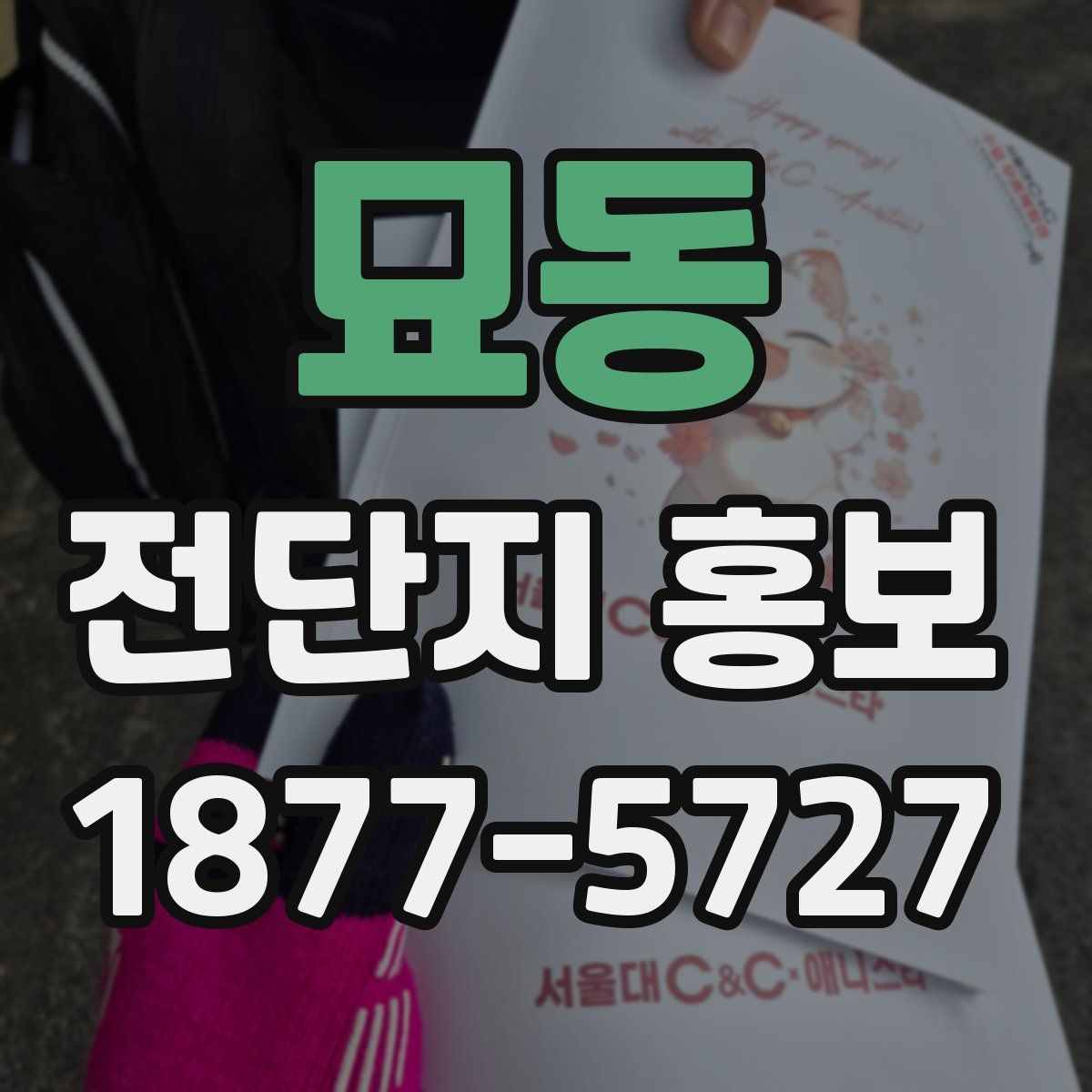 묘동 전단지 홍보