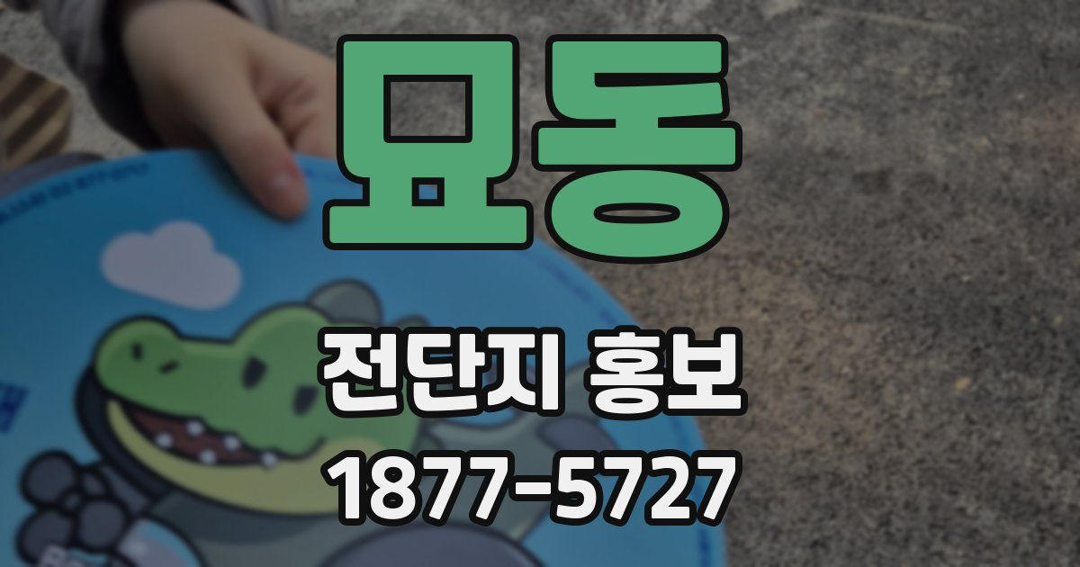 묘동 전단지 홍보