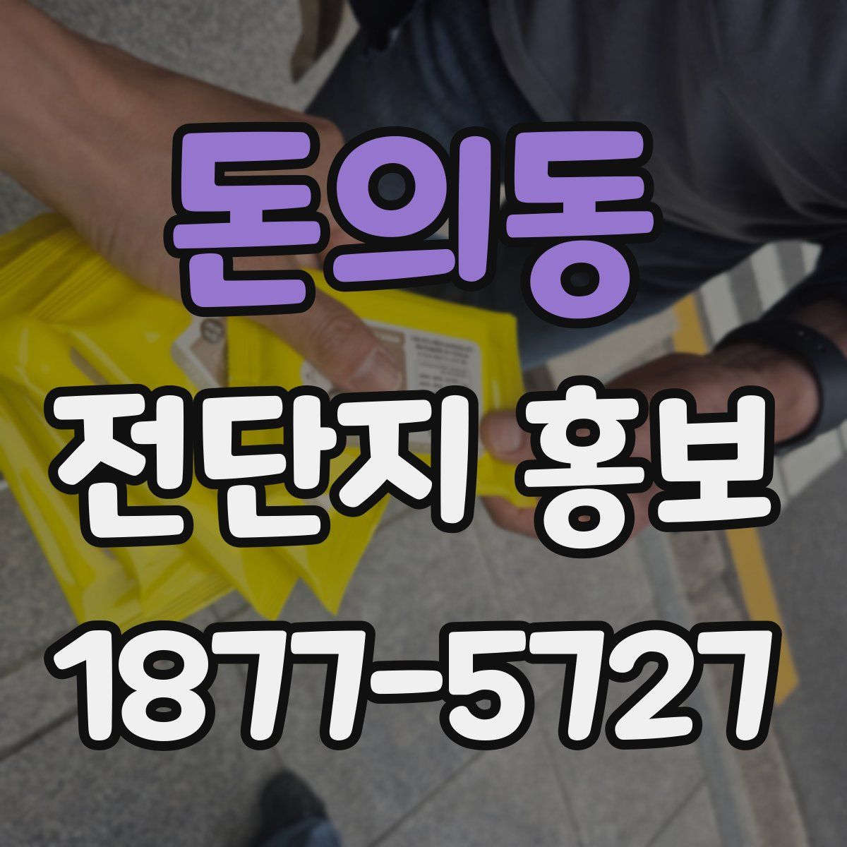 돈의동 전단지 홍보
