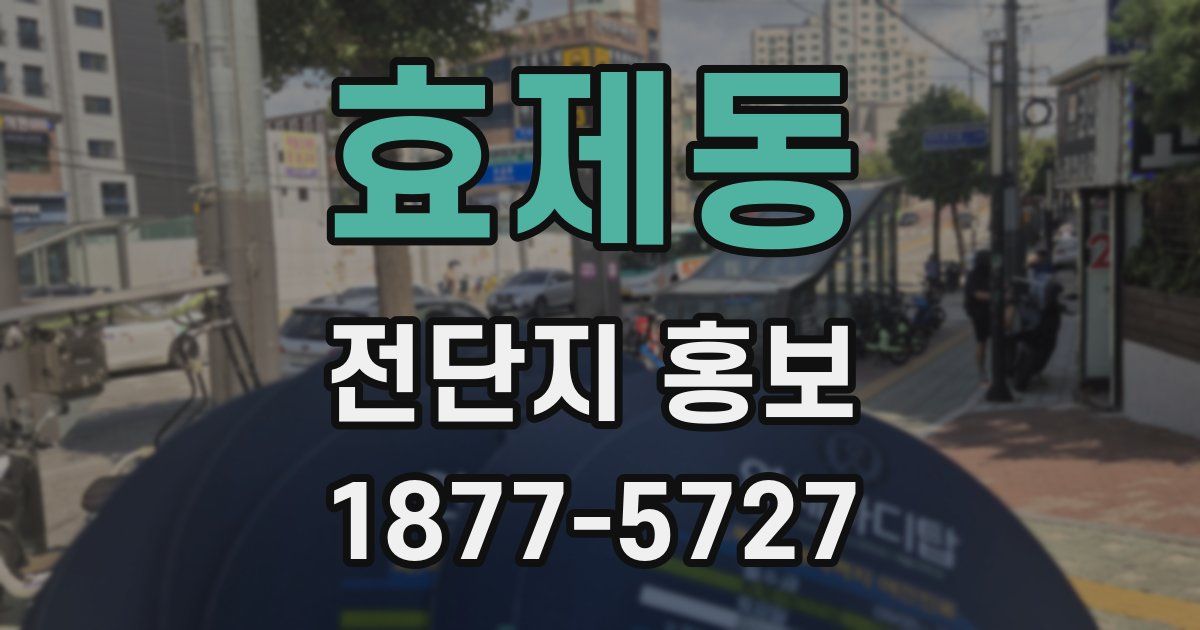 효제동 전단지 홍보