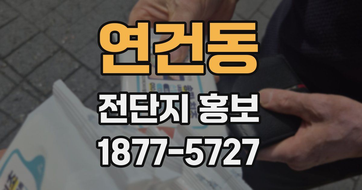 연건동 전단지 홍보