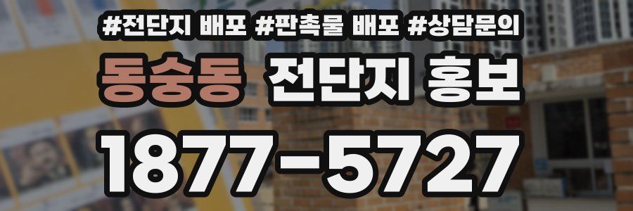 동숭동 전단지 홍보