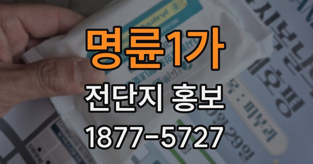 명륜1가 전단지 홍보
