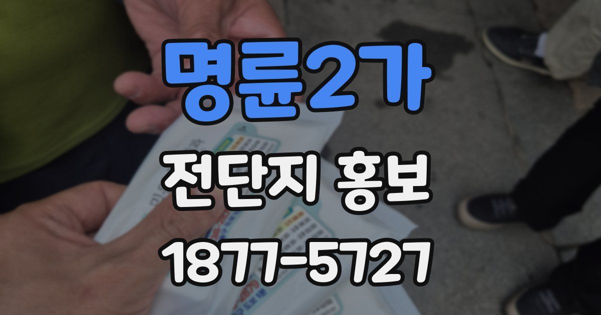 명륜2가 전단지 홍보