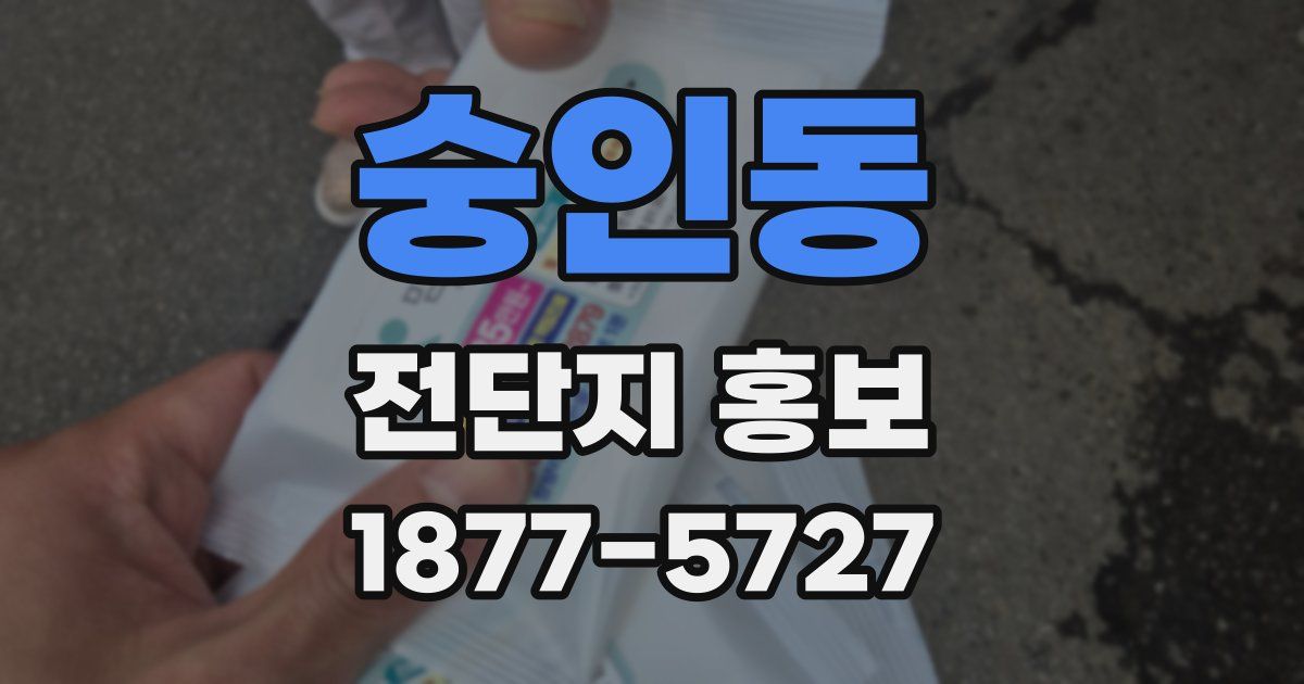 숭인동 전단지 홍보
