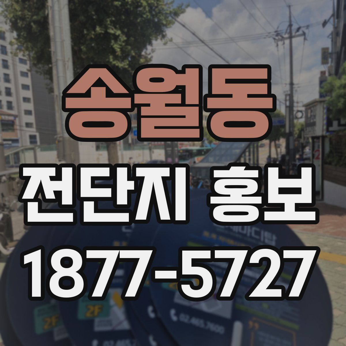 송월동 전단지 홍보