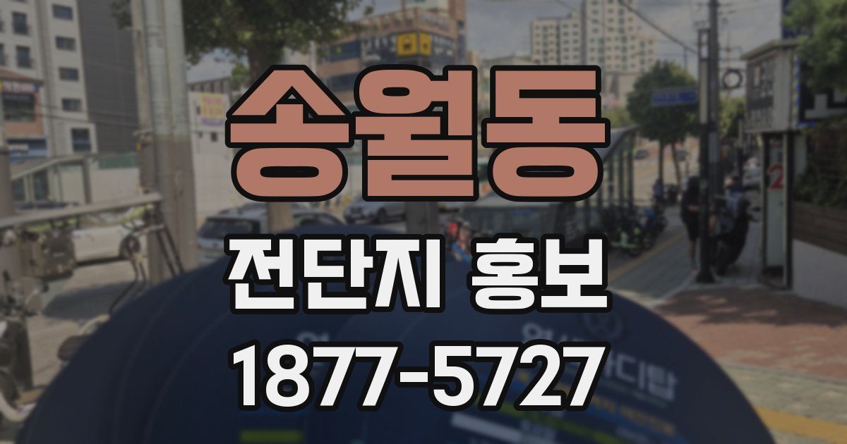 송월동 전단지 홍보