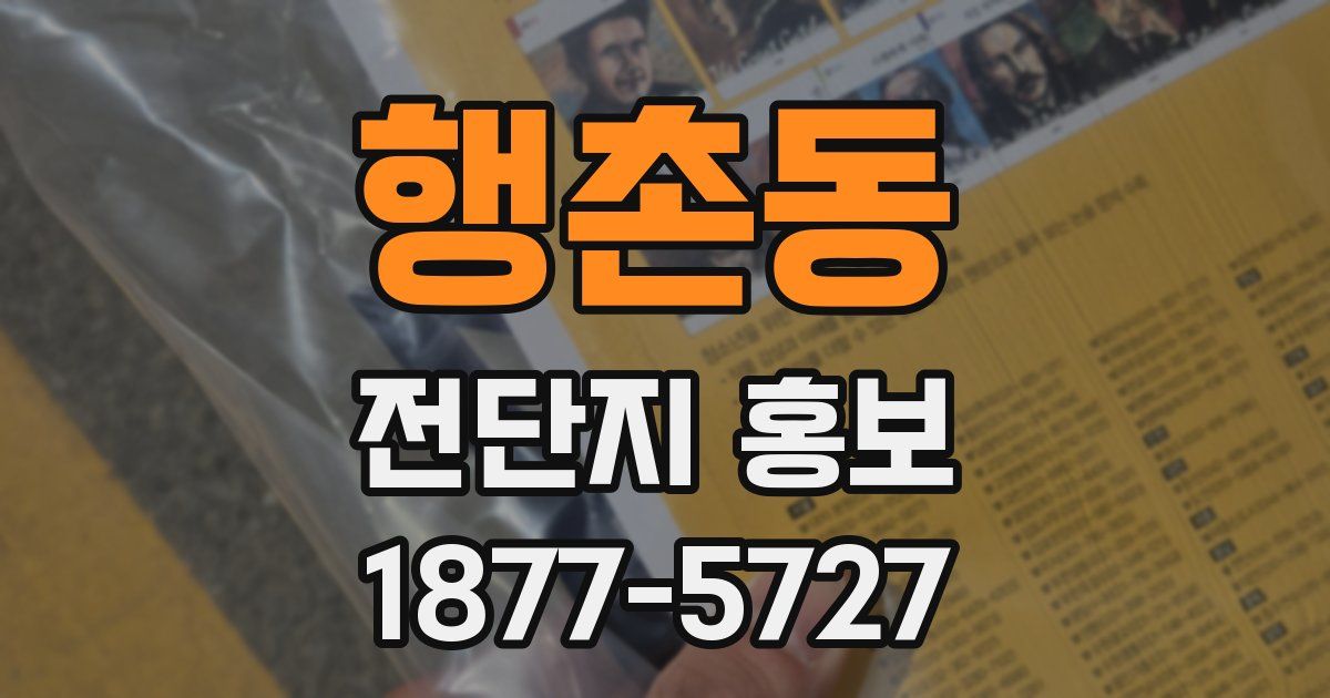 행촌동 전단지 홍보