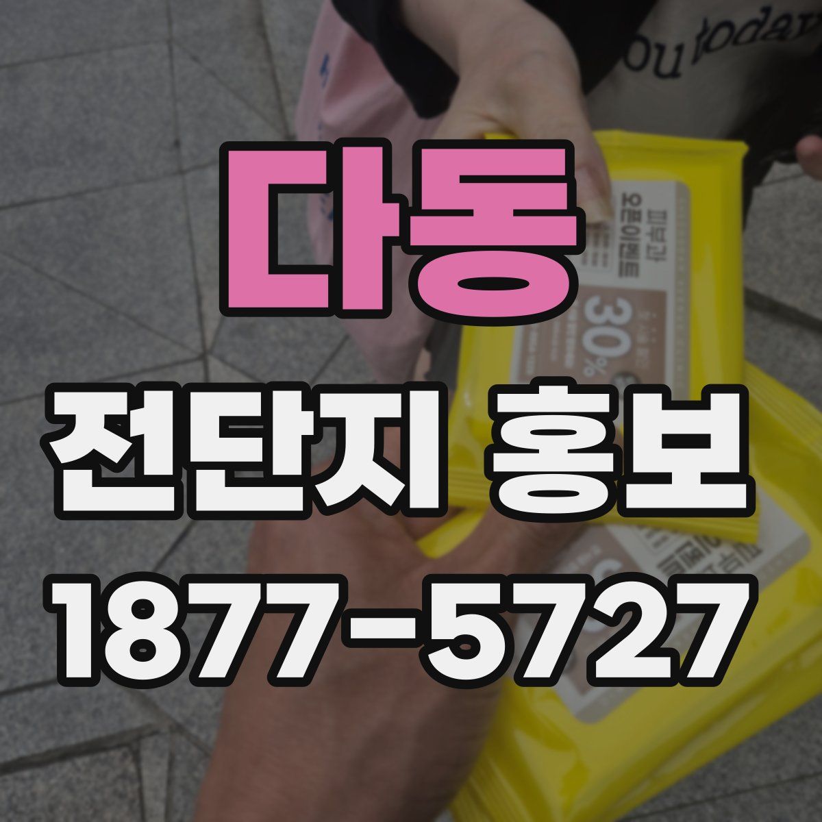 다동 전단지 홍보