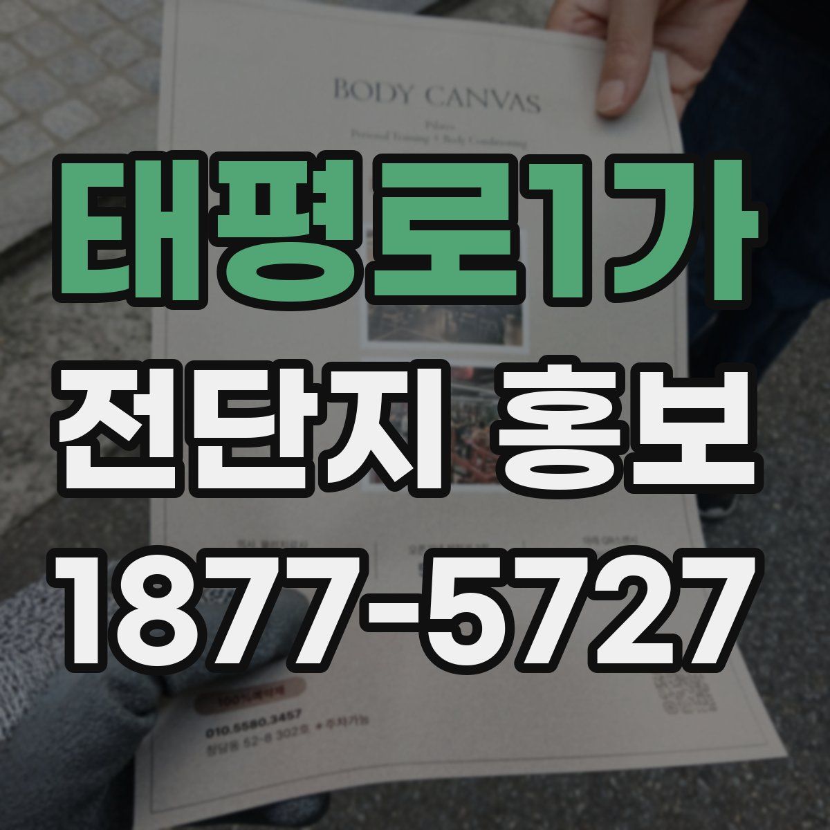 태평로1가 전단지 홍보