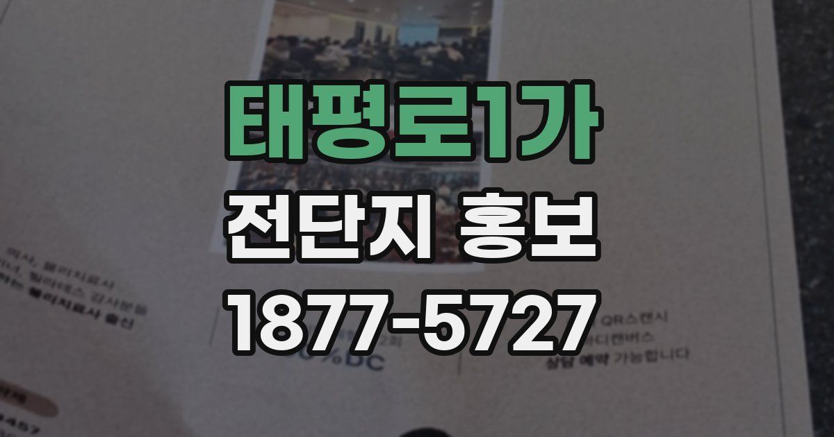 태평로1가 전단지 홍보