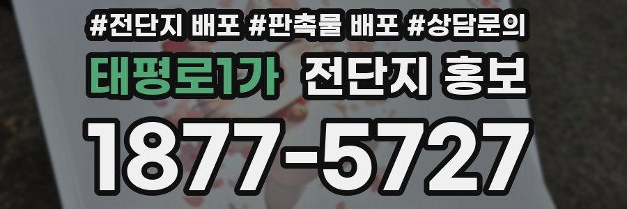 태평로1가 전단지 홍보