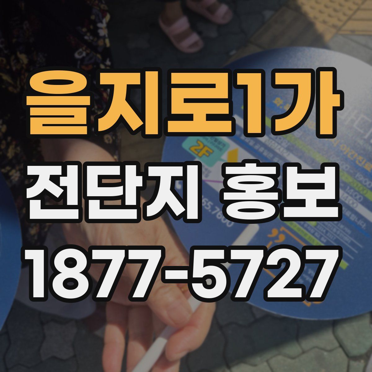 을지로1가 전단지 홍보