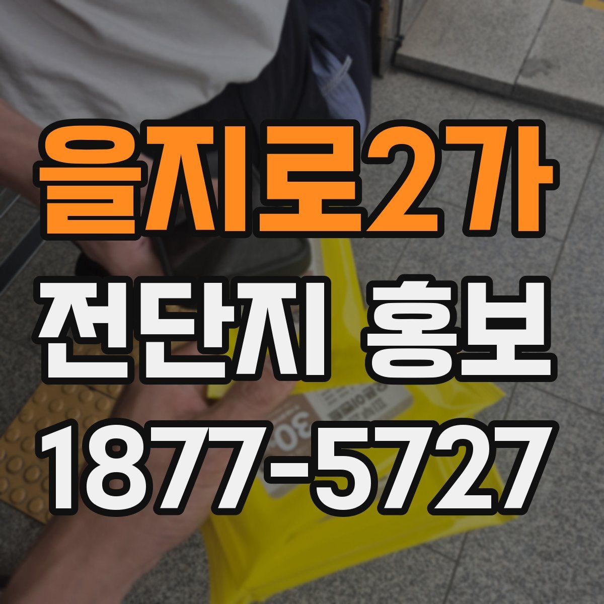 을지로2가 전단지 홍보