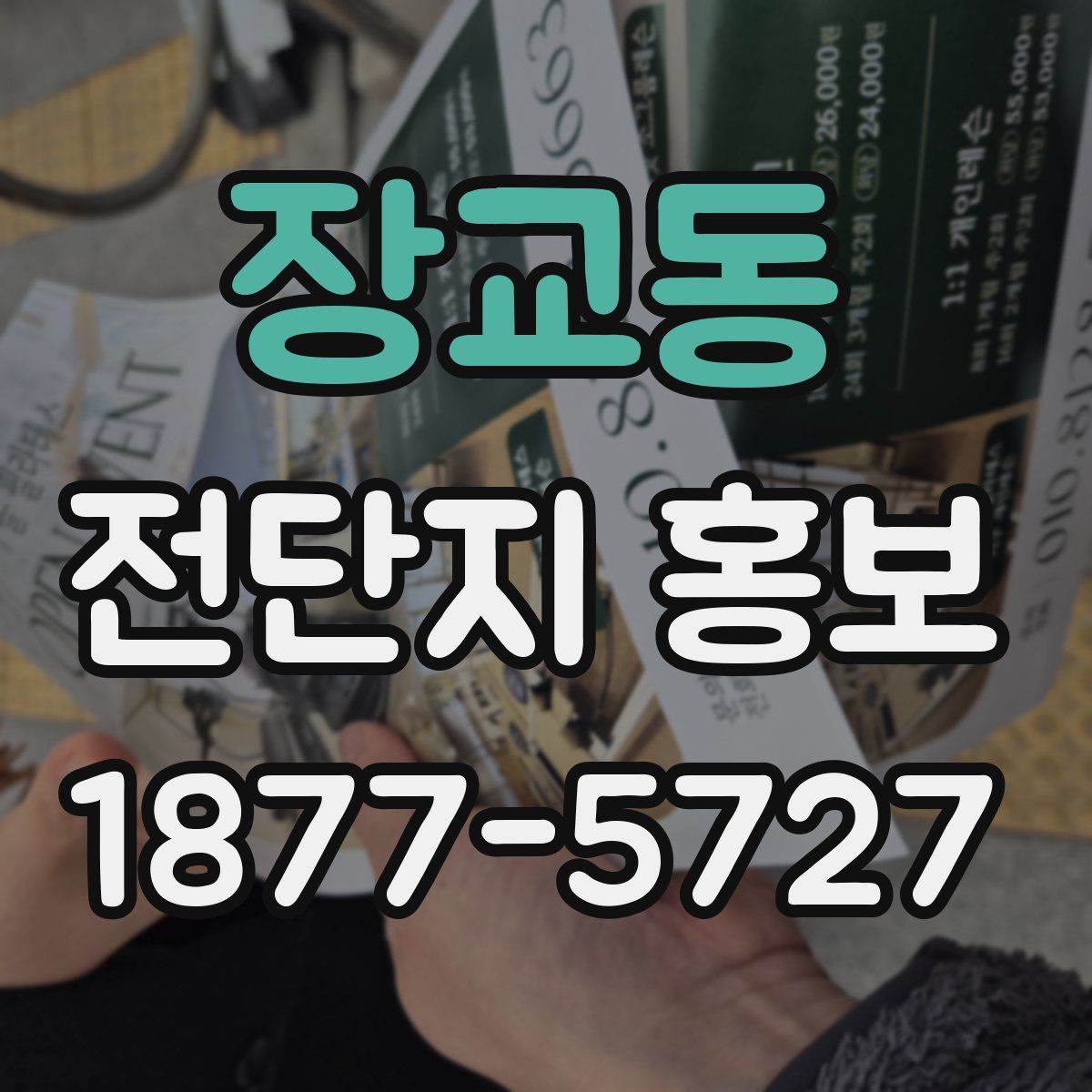장교동 전단지 홍보