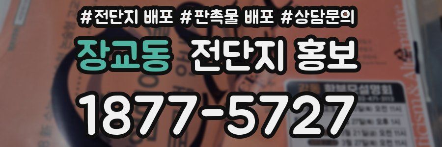 장교동 전단지 홍보