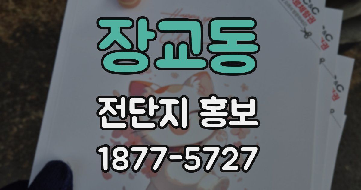 장교동 전단지 홍보