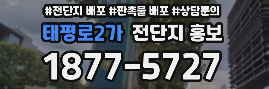 태평로2가 전단지 홍보
