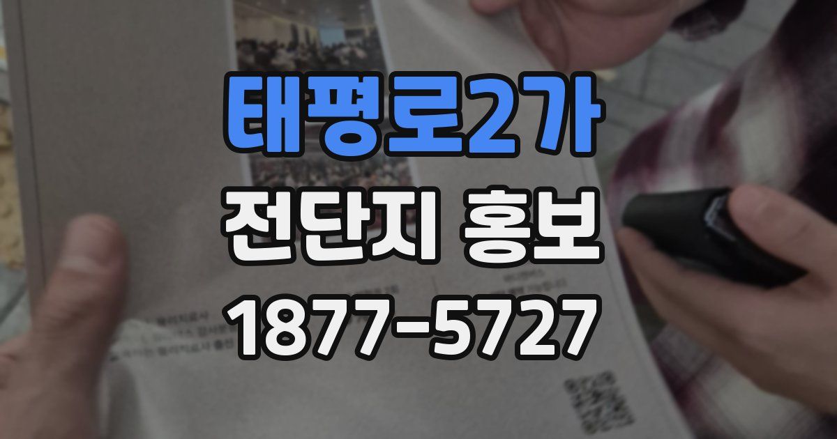 태평로2가 전단지 홍보