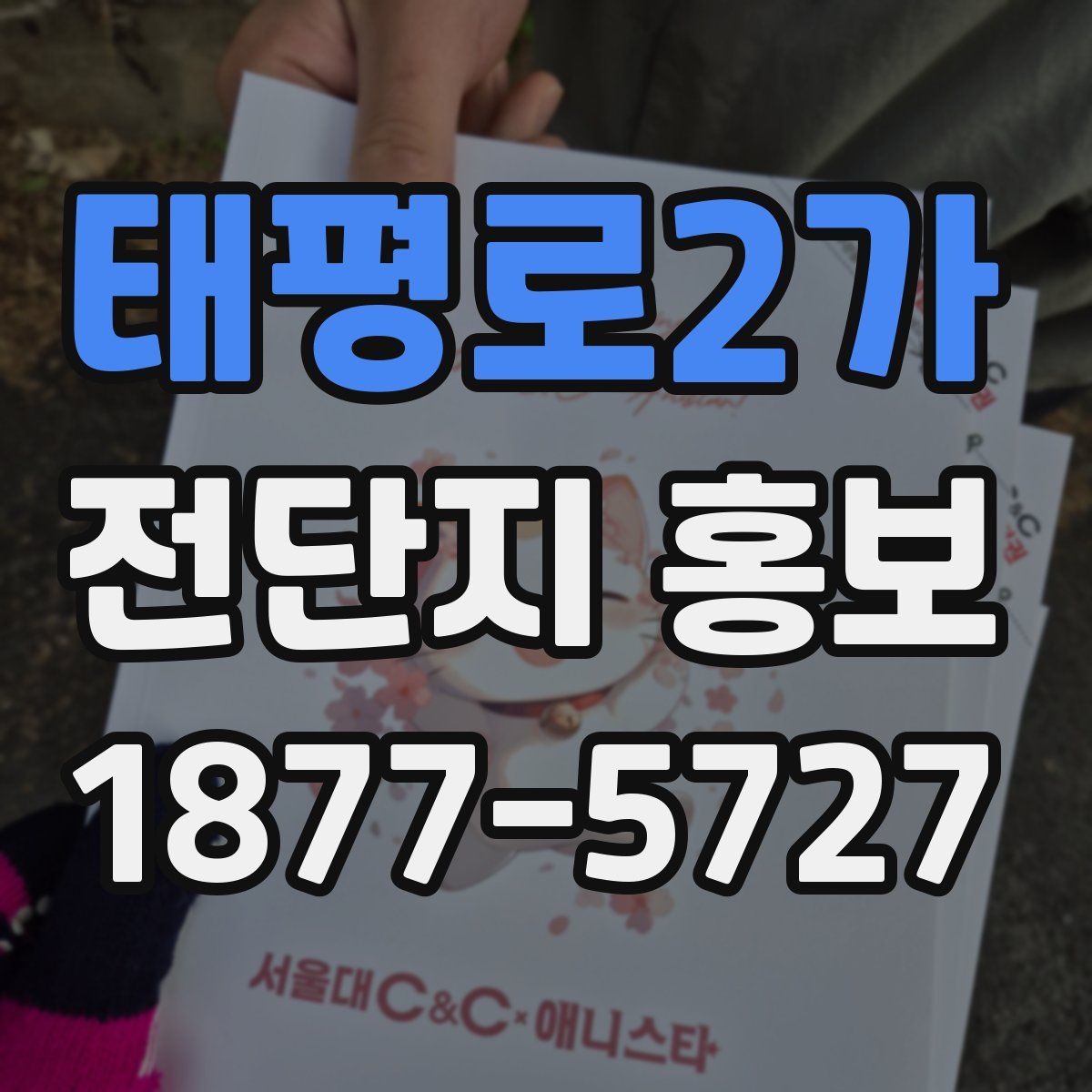 태평로2가 전단지 홍보