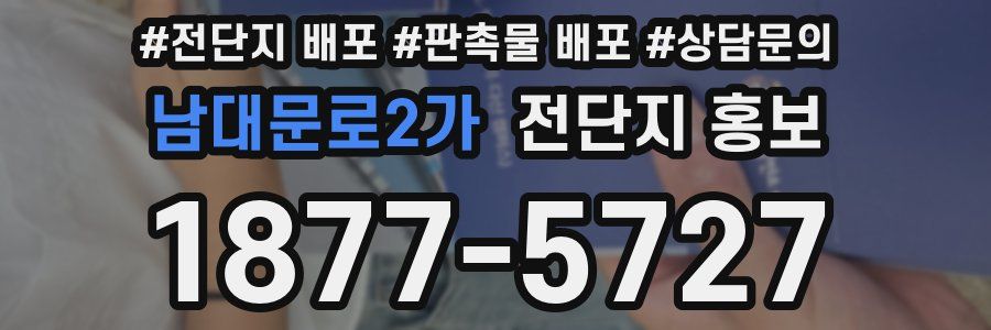 남대문로2가 전단지 홍보
