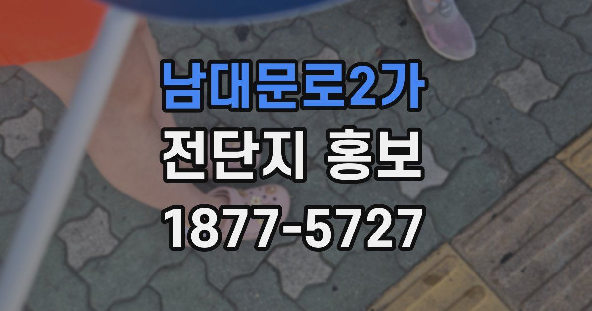 남대문로2가 전단지 홍보