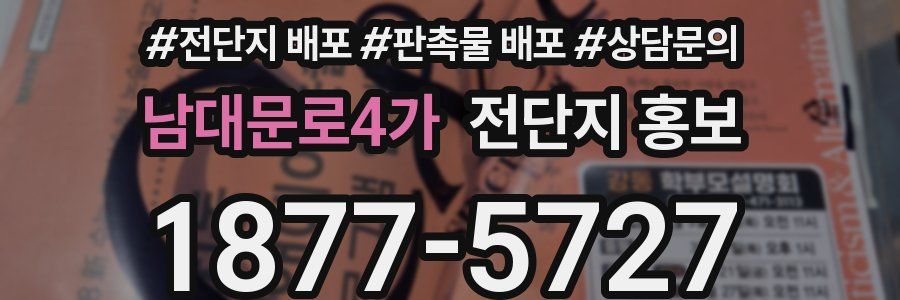 남대문로4가 전단지 홍보