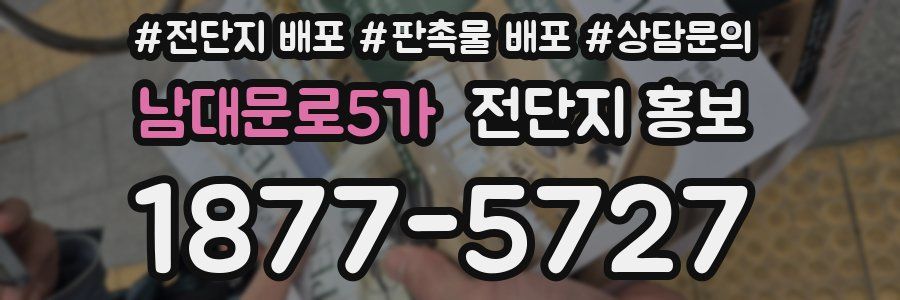 남대문로5가 전단지 홍보