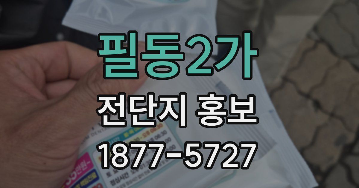 필동2가 전단지 홍보