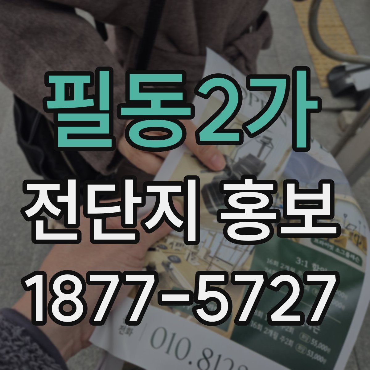 필동2가 전단지 홍보