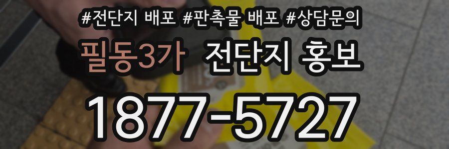 필동3가 전단지 홍보