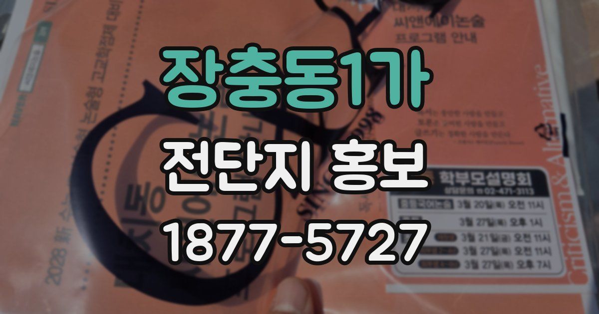 장충동1가 전단지 홍보