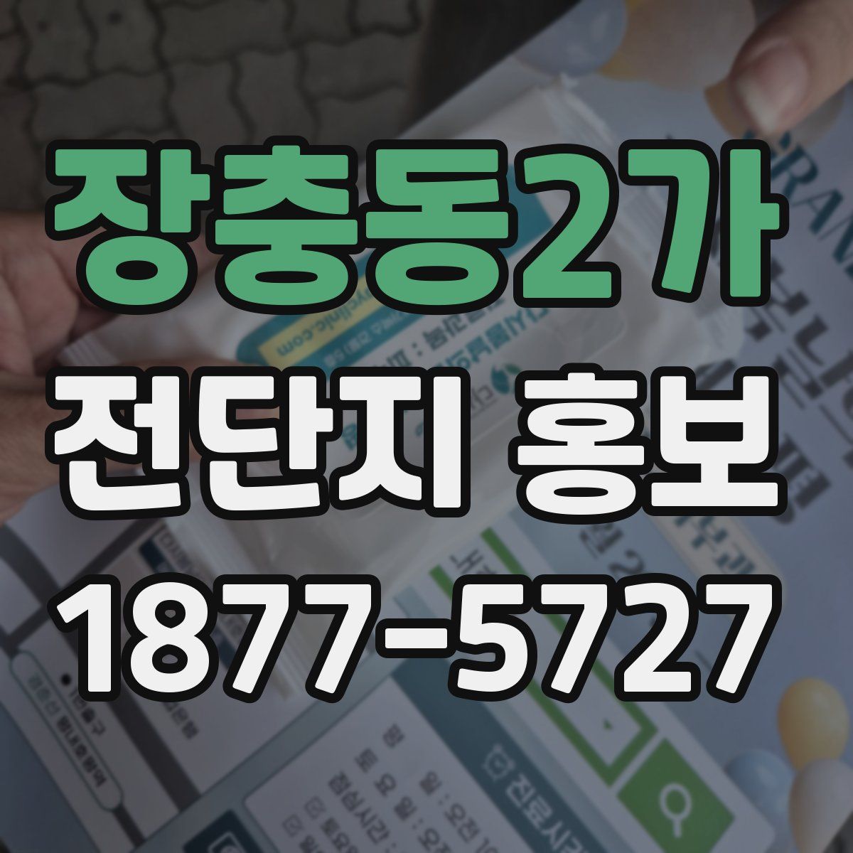 장충동2가 전단지 홍보