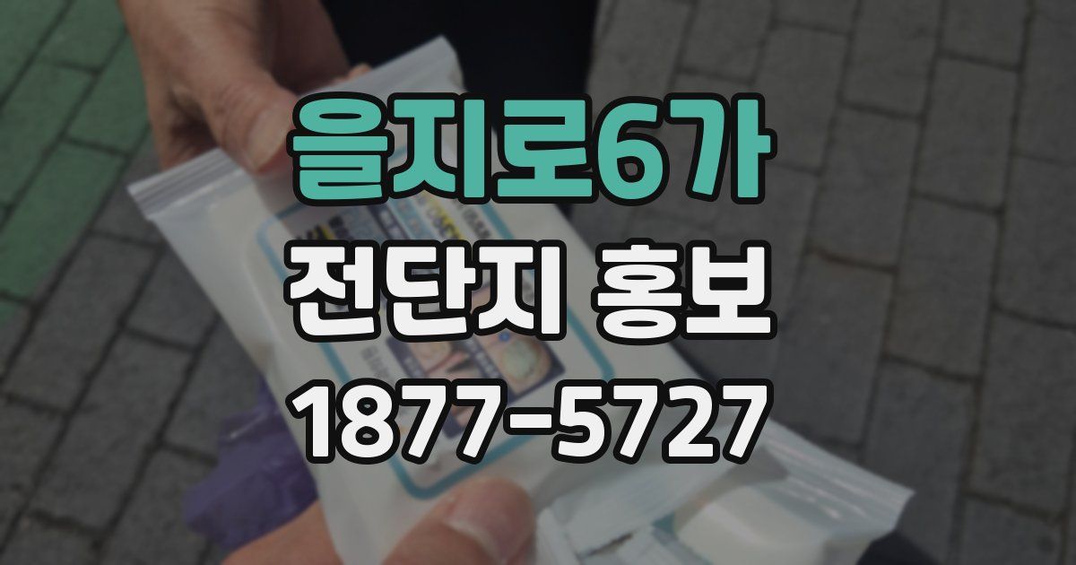 을지로6가 전단지 홍보