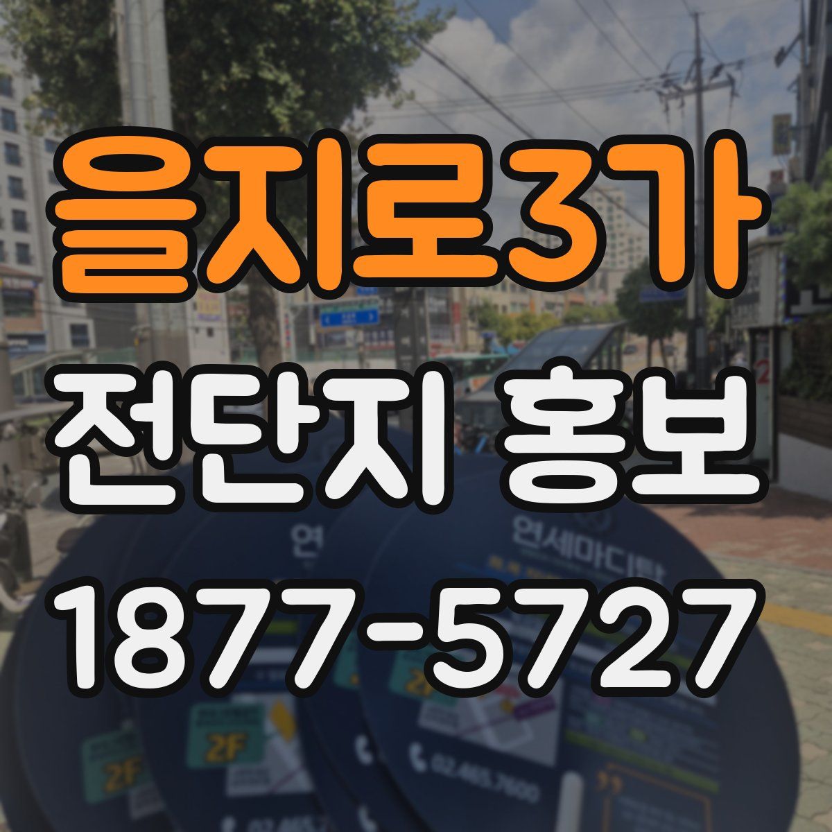 을지로3가 전단지 홍보