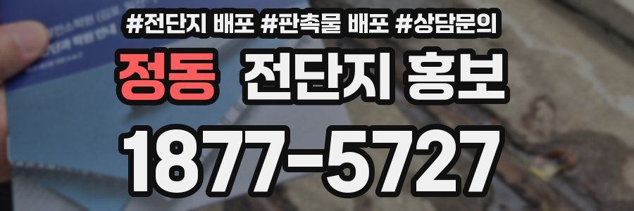 정동 전단지 홍보