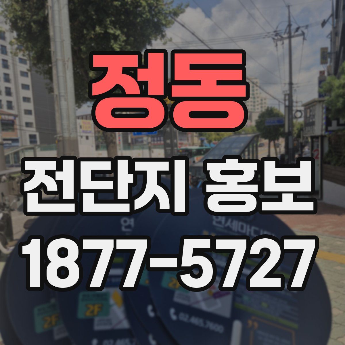 정동 전단지 홍보