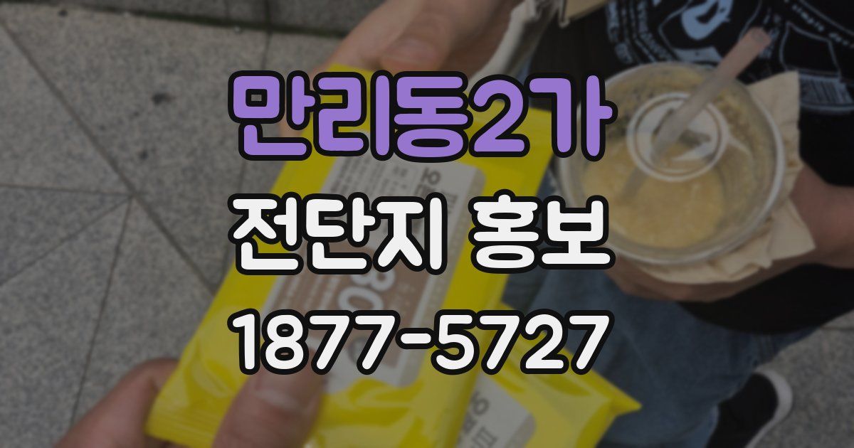 만리동2가 전단지 홍보