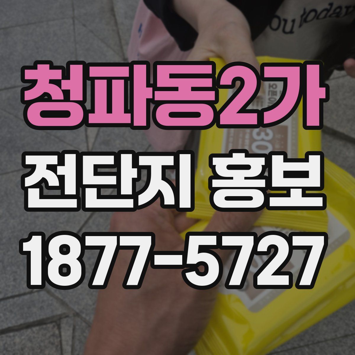 청파동2가 전단지 홍보