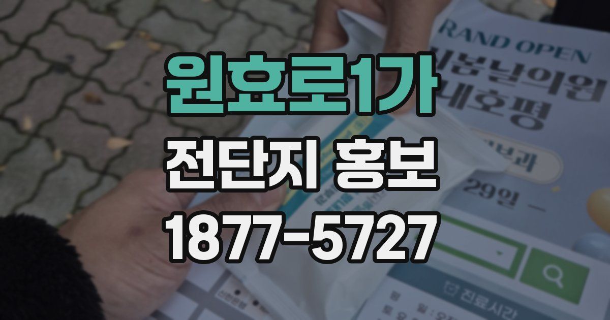 원효로1가 전단지 홍보