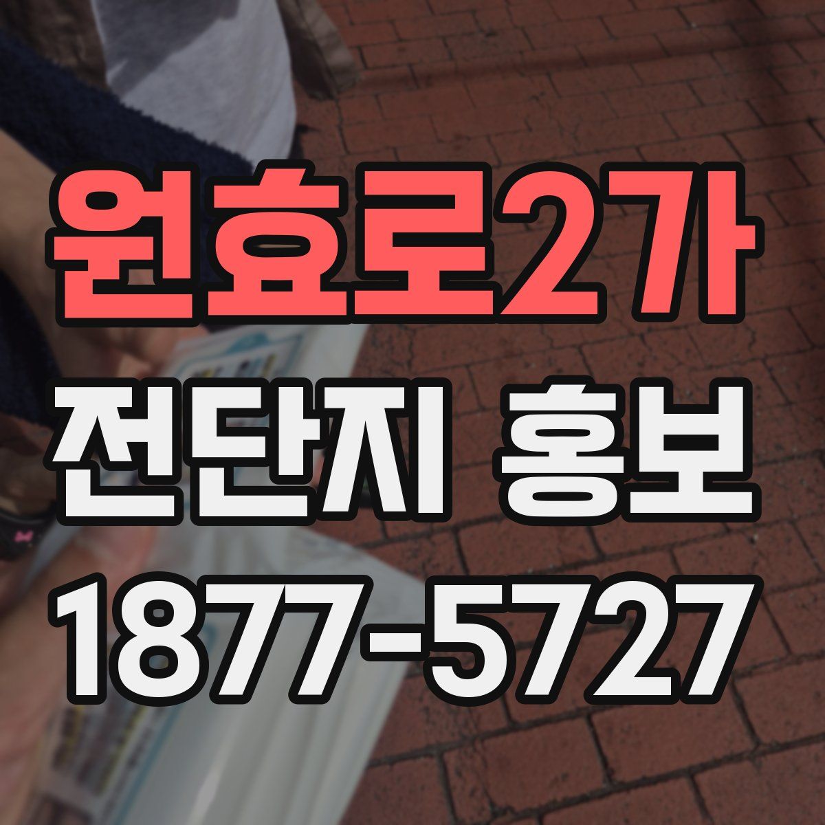 원효로2가 전단지 홍보