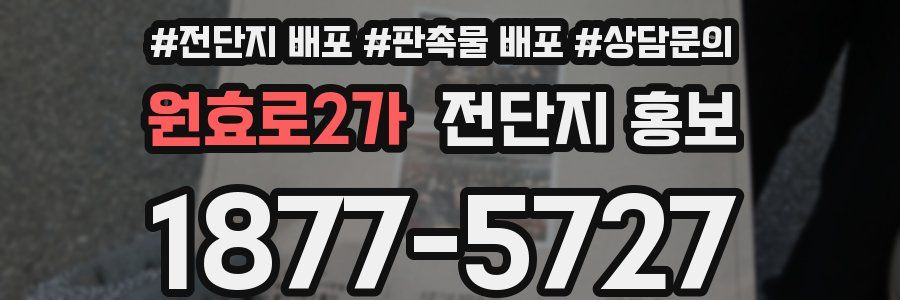 원효로2가 전단지 홍보