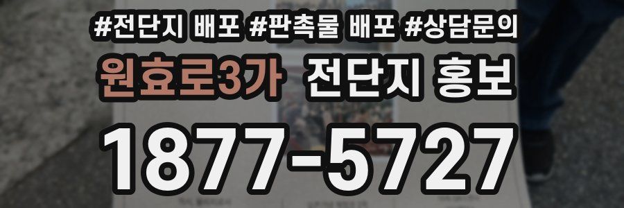 원효로3가 전단지 홍보