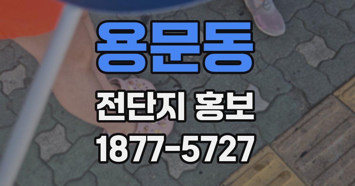 용문동 전단지 홍보