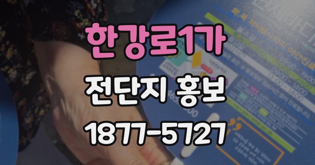 한강로1가 전단지 홍보