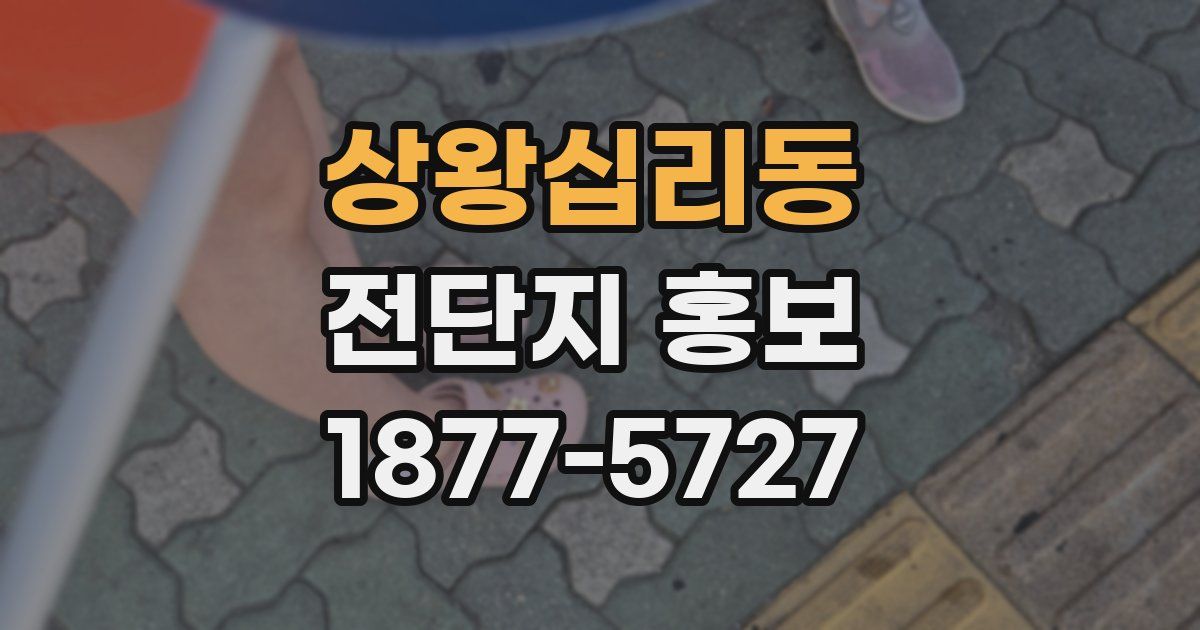 상왕십리동 전단지 홍보