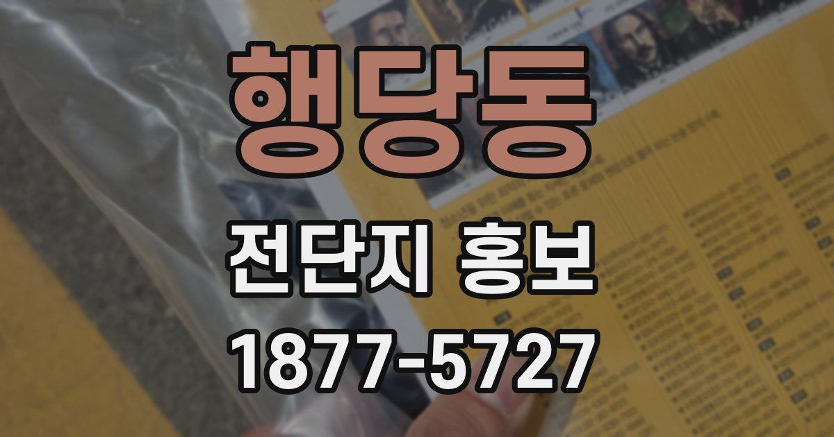 행당동 전단지 홍보
