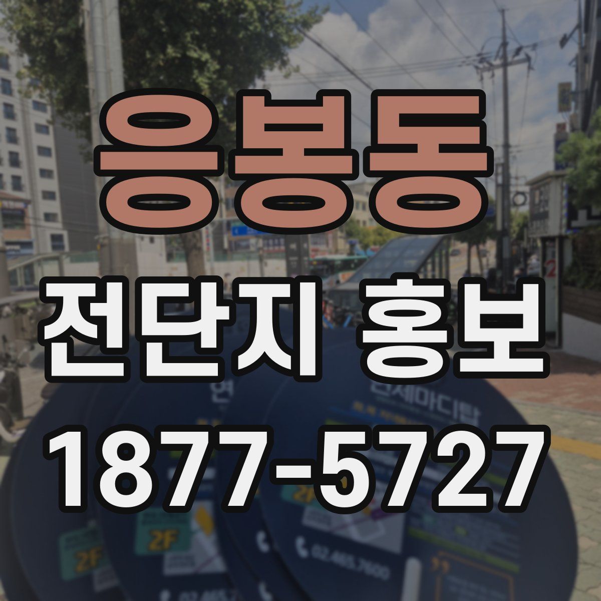 응봉동 전단지 홍보