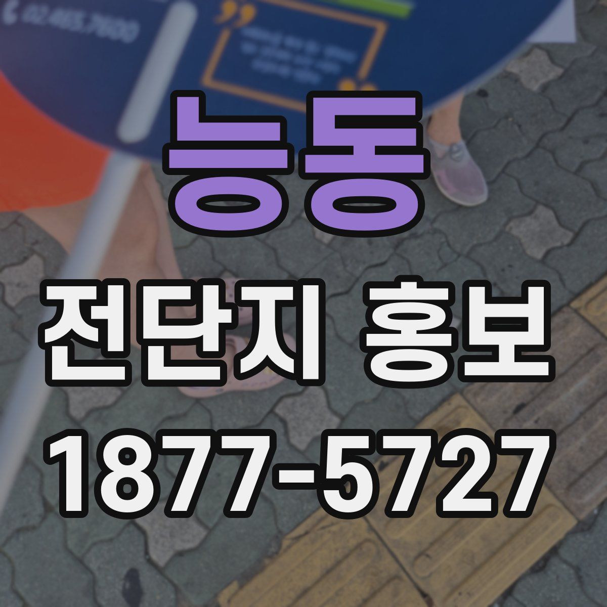 능동 전단지 홍보
